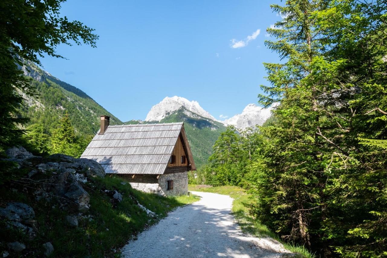 Mountain Heart Holiday House Трента Экстерьер фото