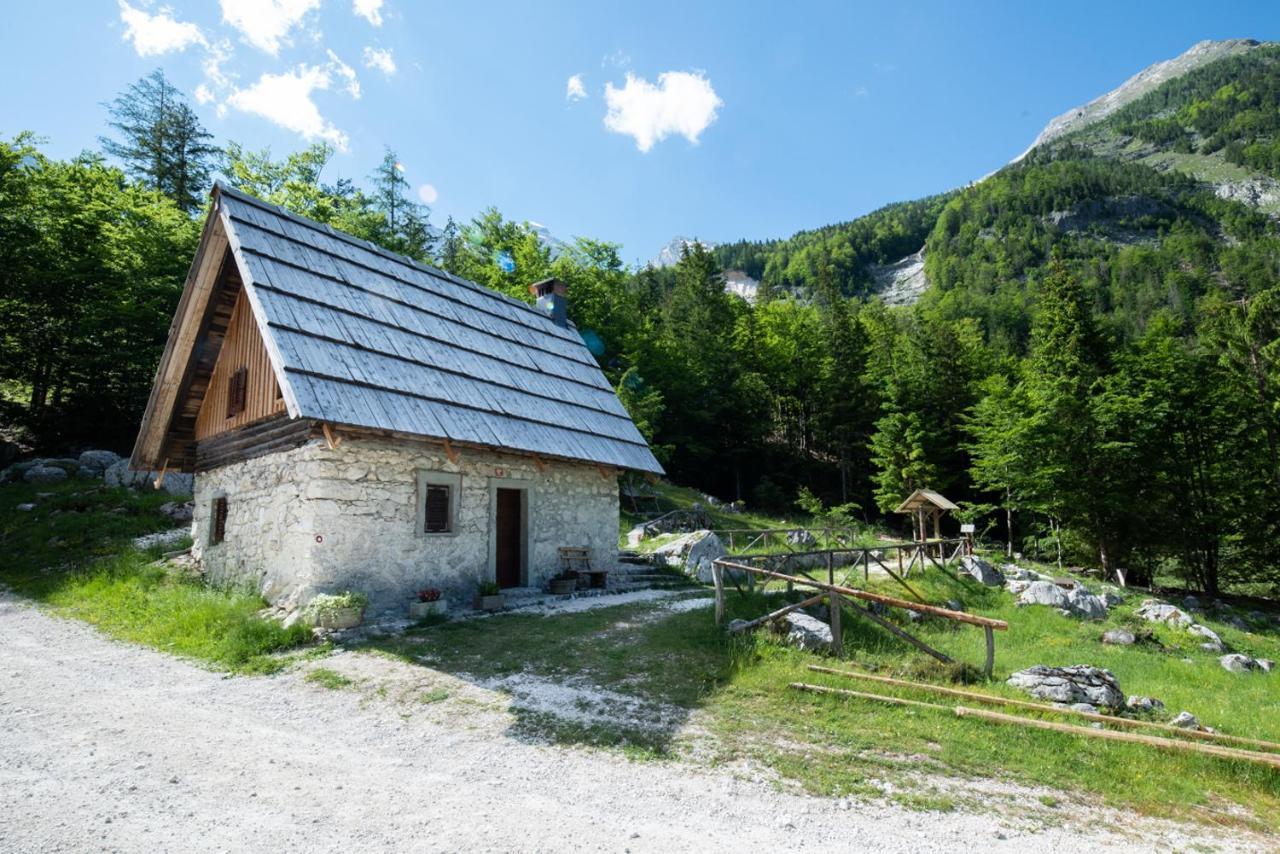 Mountain Heart Holiday House Трента Экстерьер фото