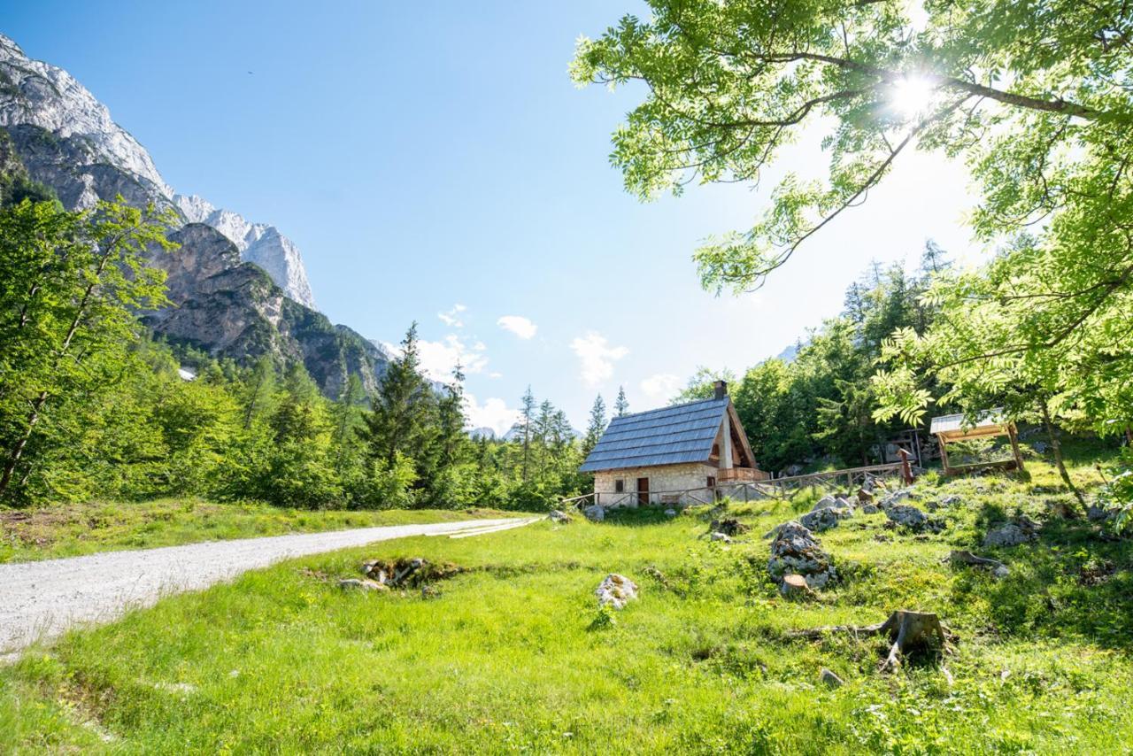 Mountain Heart Holiday House Трента Экстерьер фото